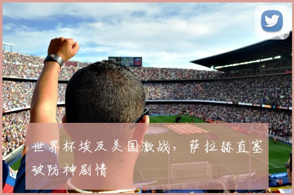 世界杯埃及美国激战，萨拉赫直塞破防神剧情