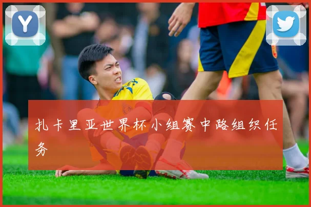 扎卡里亚世界杯小组赛中路组织任务