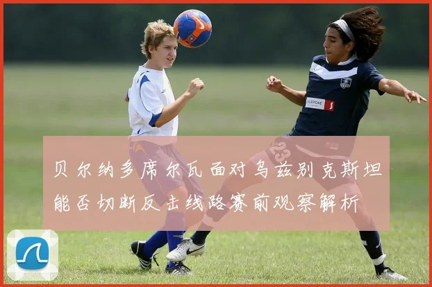 贝尔纳多席尔瓦面对乌兹别克斯坦能否切断反击线路赛前观察解析
