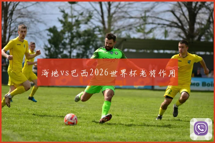 海地vs巴西2026世界杯老将作用