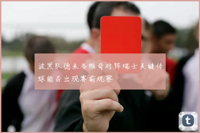 波黑队德米洛维奇对阵瑞士关键传球能否出现赛前观察