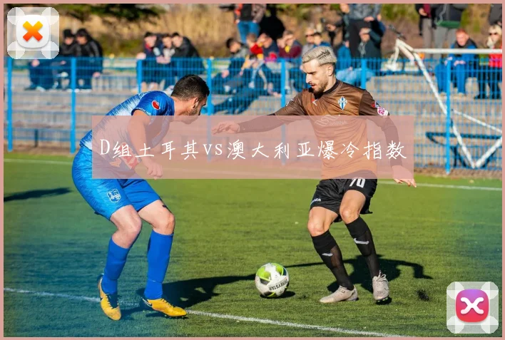 D组土耳其vs澳大利亚爆冷指数