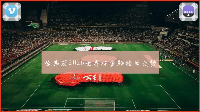 哈弗茨2026世界杯金靴赔率走势